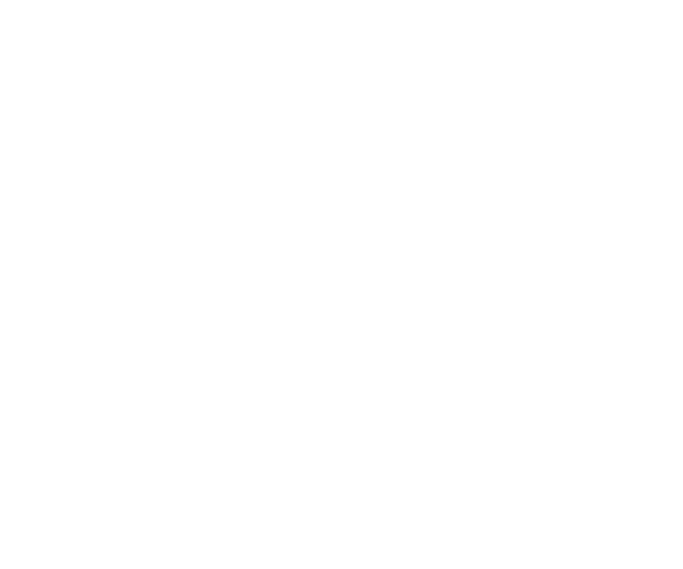 Bug Digital